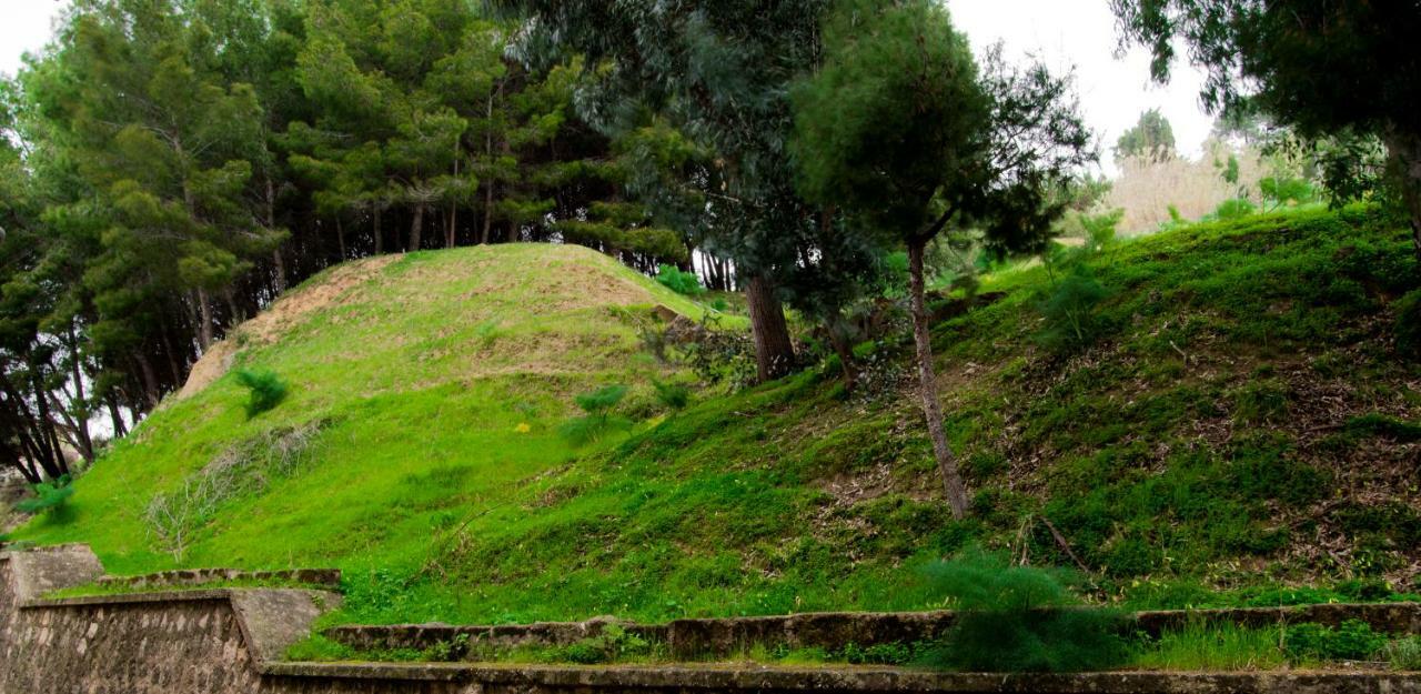 Antica Akragante Apartment Agrigento Con Parcheggio Zewnętrze zdjęcie